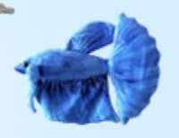 Soft 6-inch Blue Betta Plush: GreenPleco Companion