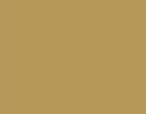24 in x 100 ft Glossy Gold Repositionable Adhesive Vinyl Roll