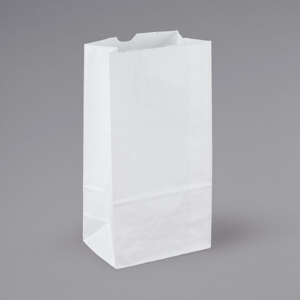 500 Paper Lunch Bags - Durable White Grocery Bags for All Needs