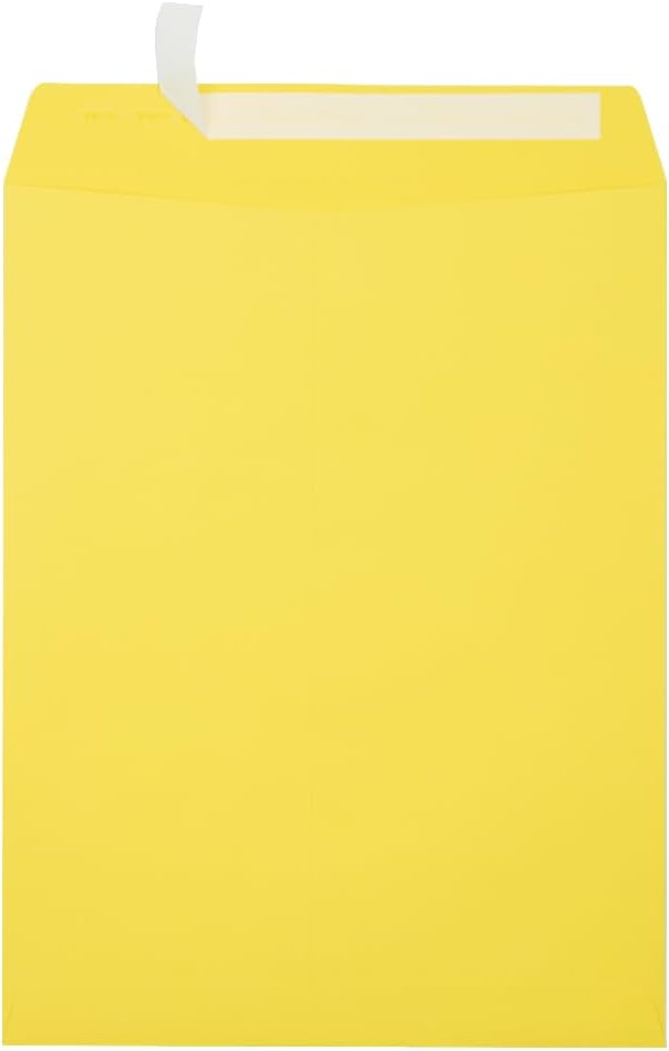 LUXPaper 10 x 13 Open End Envelopes for Business and Personal Use