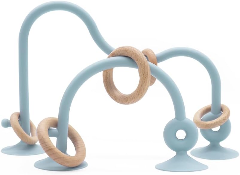 Interactive Suction Cup Teething Toy - Montessori Baby Set