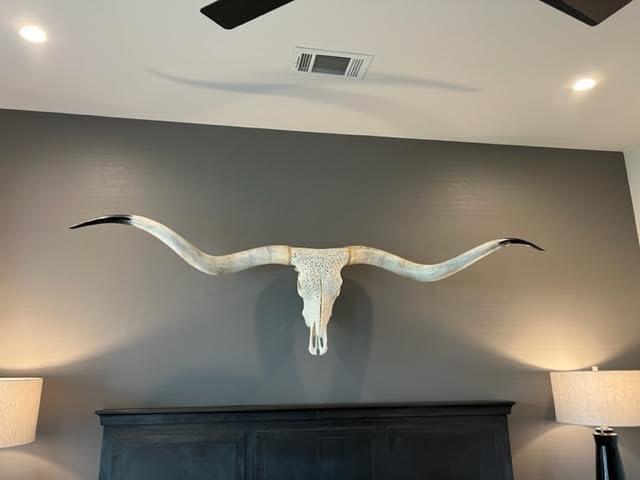 Mammoth Mount European Skull Hanger for Trophy Displays