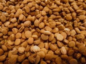 Stratified American Ginseng Seed for Planting - 1-lb Pack