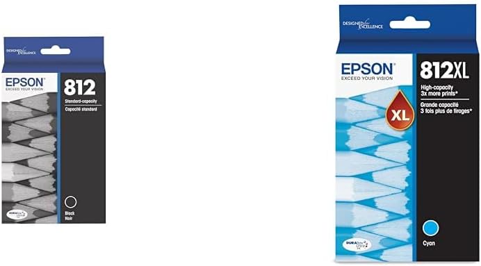 Epson Standard Black and High Capacity Cyan Ink Cartridges