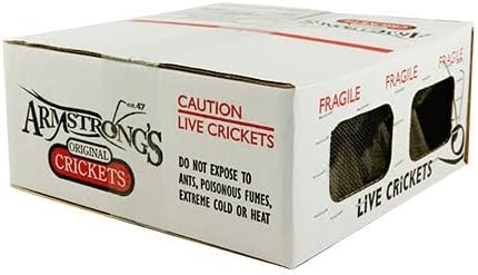 1000 Count Live Crickets for Reptiles - Fresh and Nutritious