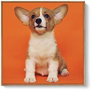 Custom Framed Canvas Prints for Pets - Personalized Wall Art