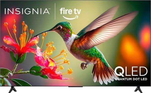 INSIGNIA 65 Inch QF Series LED 4K UHD QLED Smart Fire TV Review