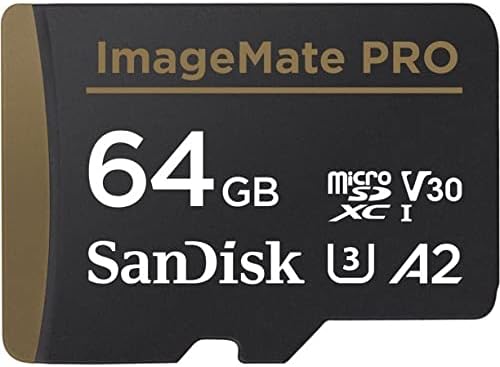 Capture Action Packed Moments with SanDisk 64GB microSDXC!