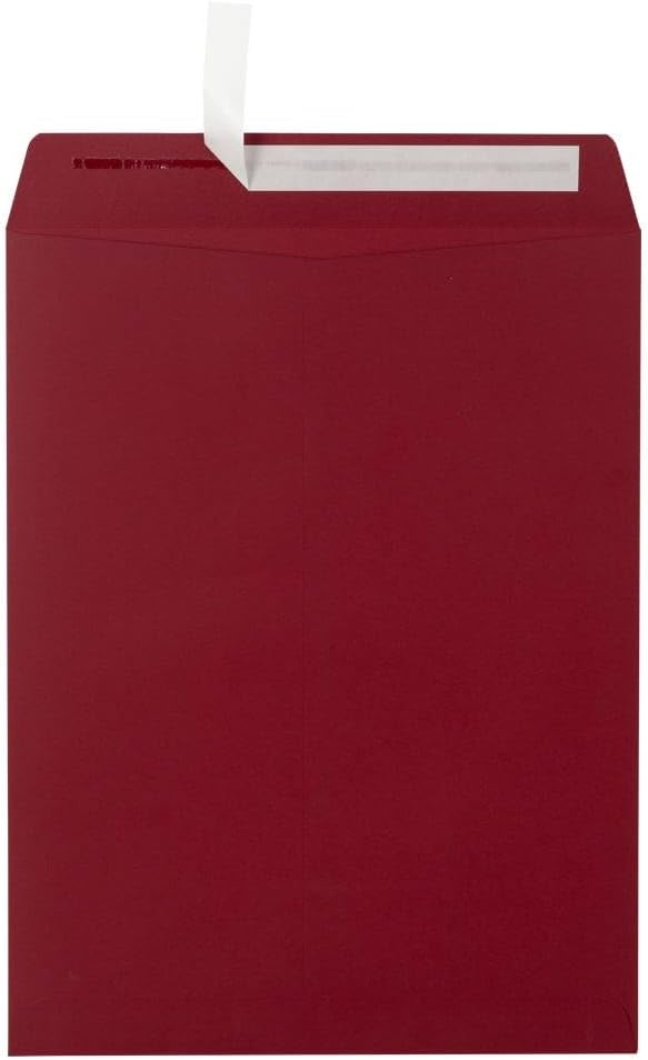 LUXPaper 10 x 13 Open End Envelopes for Business and Personal Use