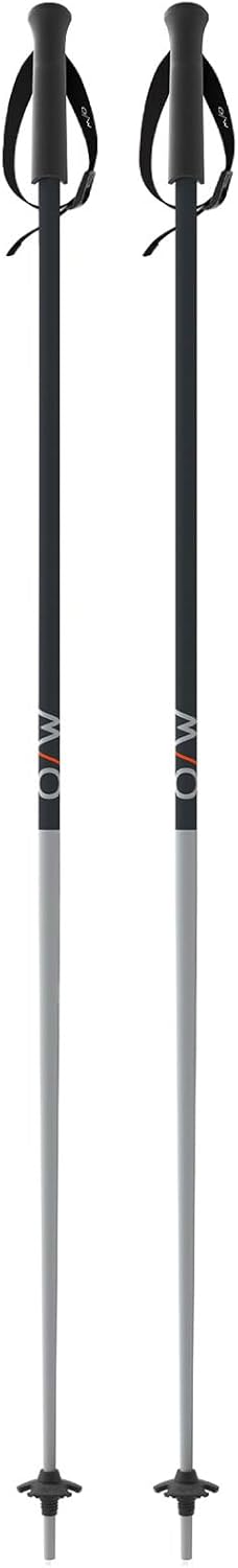 FISCHER GT 18 Alpine Ski Poles - Durable Lightweight Design
