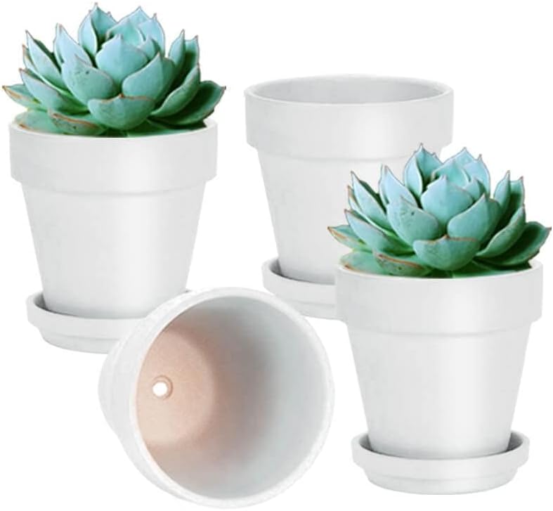 Vensovo 6 Inch Terracotta Pots with Saucer for Indoor Plants