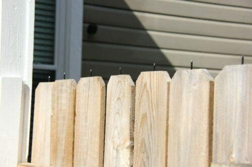 Anti-Climb Fence Spikes for Home Security by Spike Guard Tech