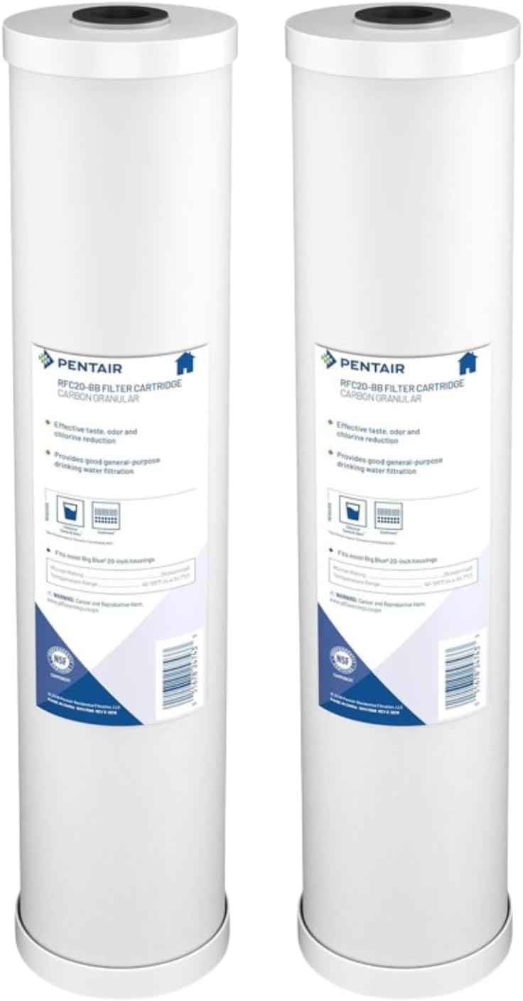 Pentair Pentek RFC-20BB Big Blue Carbon Water Filter for Home