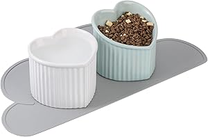 Cat Food Water Bowl Set - Elevated Ceramic Cat Dish Set