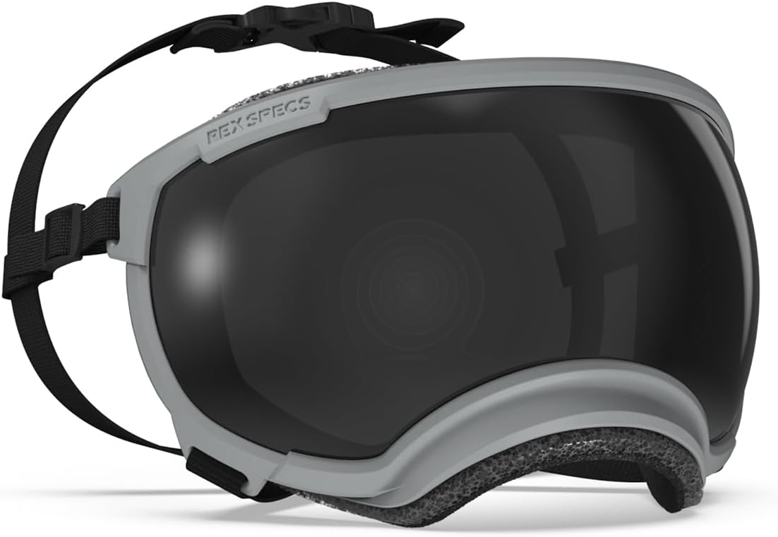 Rex Specs V2 Dog Goggles for Large Dogs in Gallatin Grey