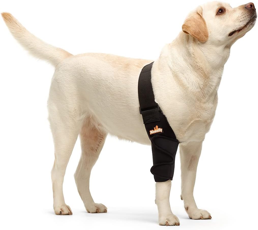 NeoAlly Dog Elbow Brace for Elbow Hygroma and Dysplasia