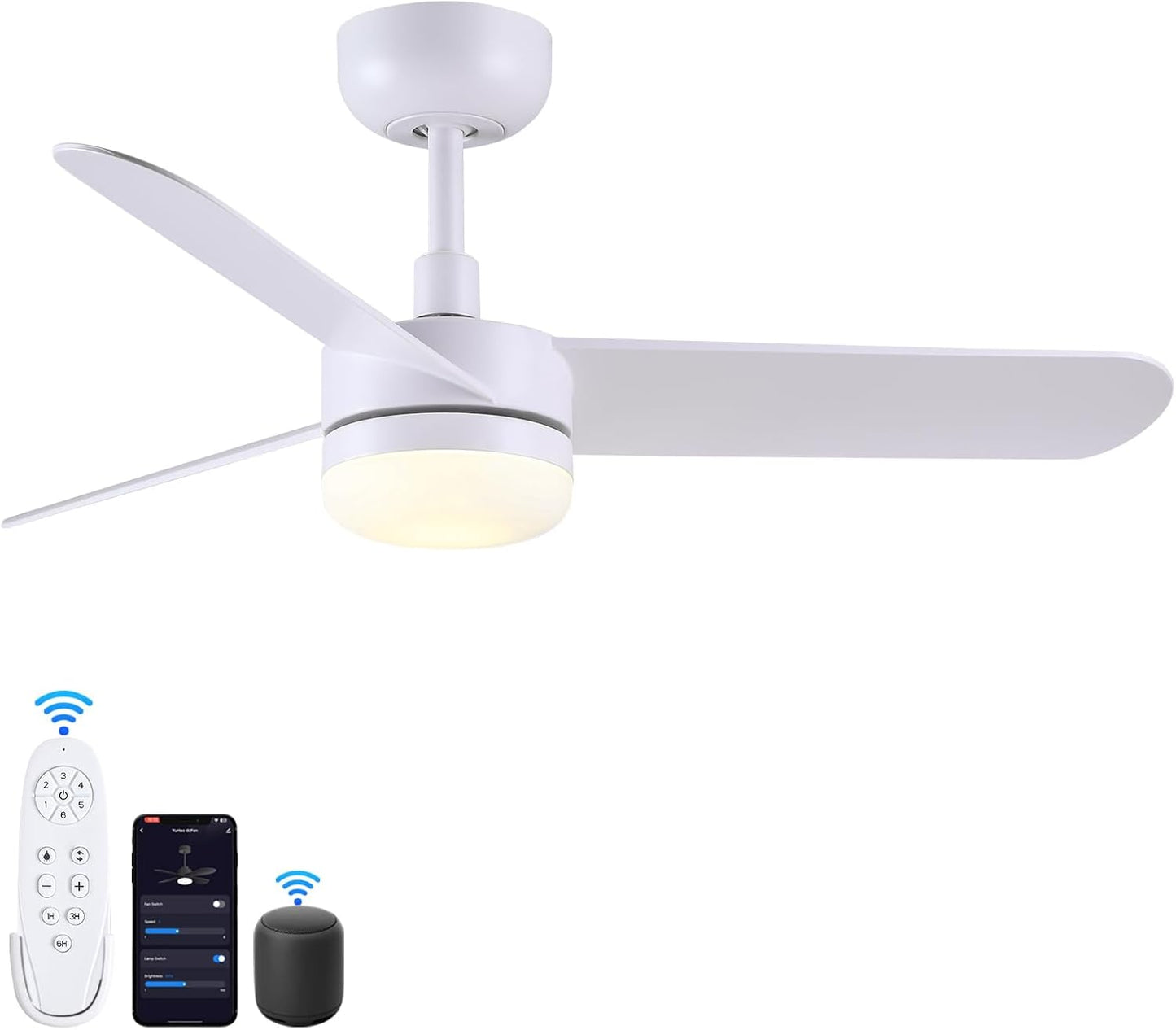 Modern Ceiling Fans with Lights and Remote for Any Room