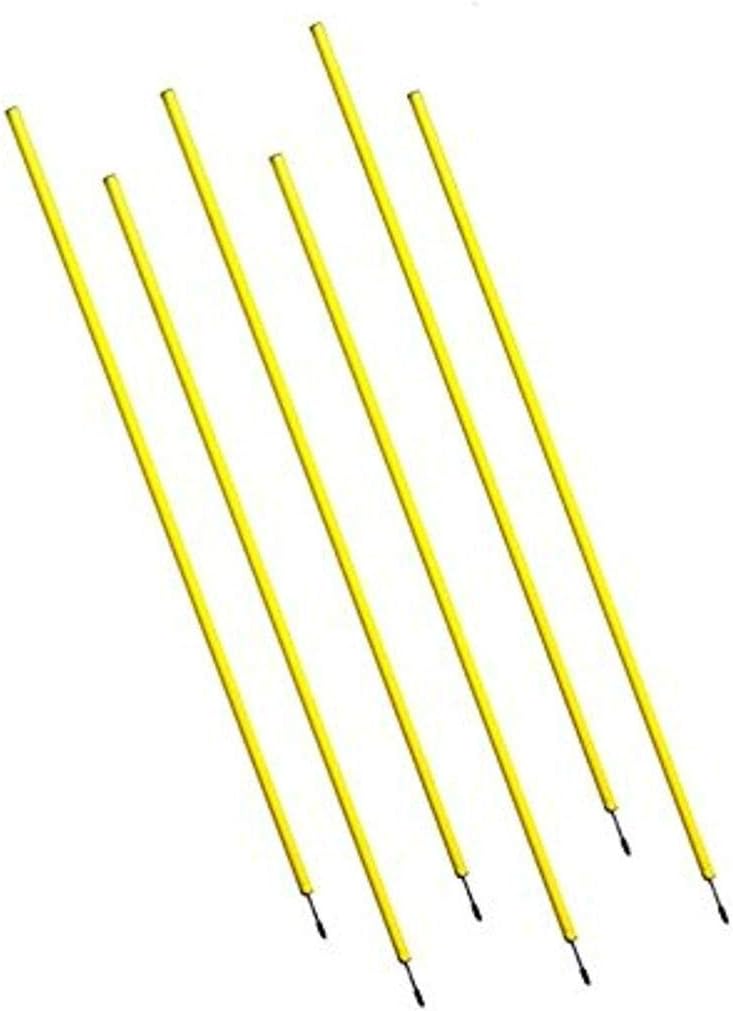BlueDot Trading Soccer Agility Poles for Speed Training Drills
