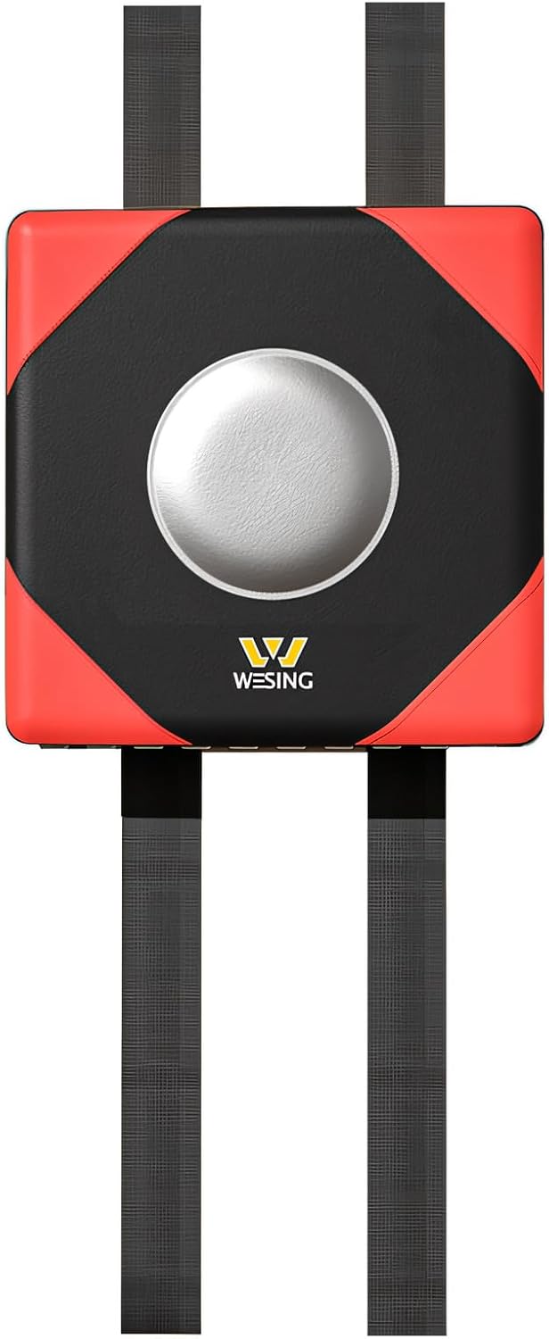 WESING Wall Focus Target: Precision Training Mat