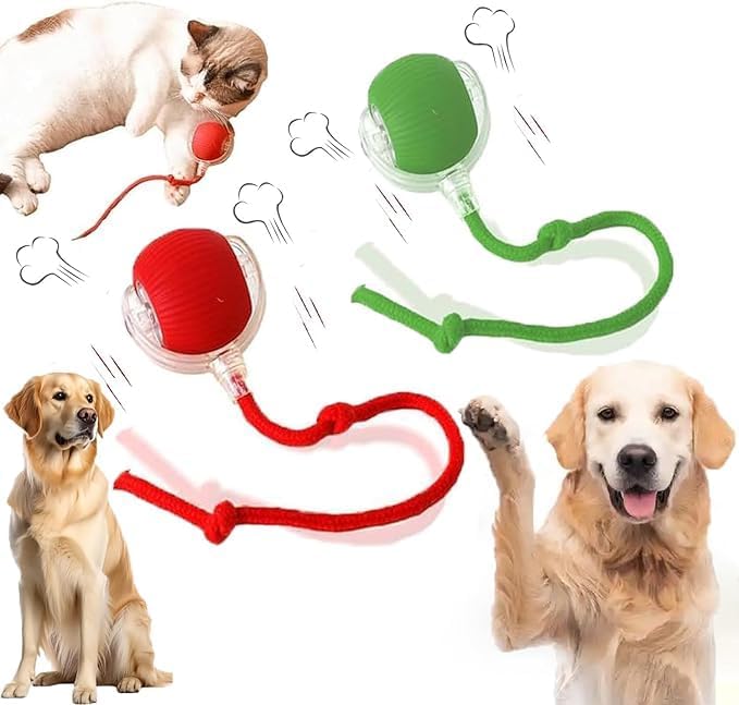 Interactive Smart Dog Ball Toy Set - AUTRETY