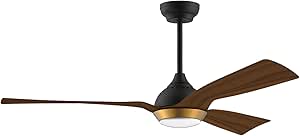 Reiga 52 in DC Motor Gold Boho Ceiling Fan with Dimmable Light
