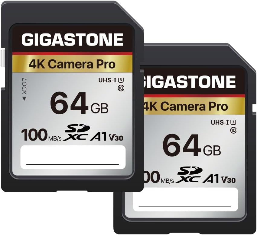 GIGASTONE 64GB SD Card 2-Pack for 4K UHD Video Capture