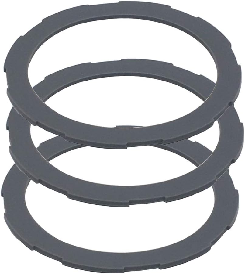 Seal in Freshness with Oster Blender Gaskets