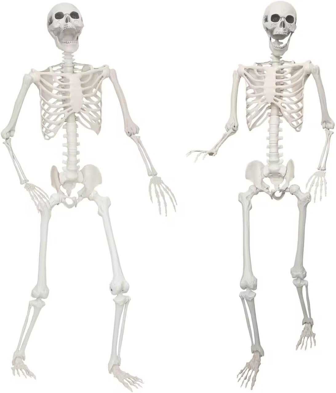 Lifelike 5.4ft Skeletons for Halloween Decor - 2 Pack