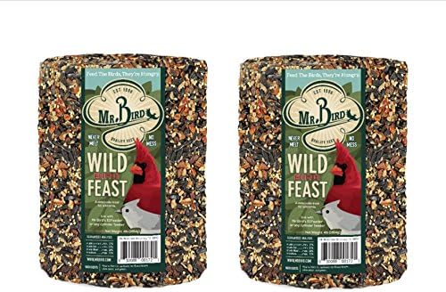2-Pack of Wild Bird Feast Birdseed Cylinders for Year-Round Feeding