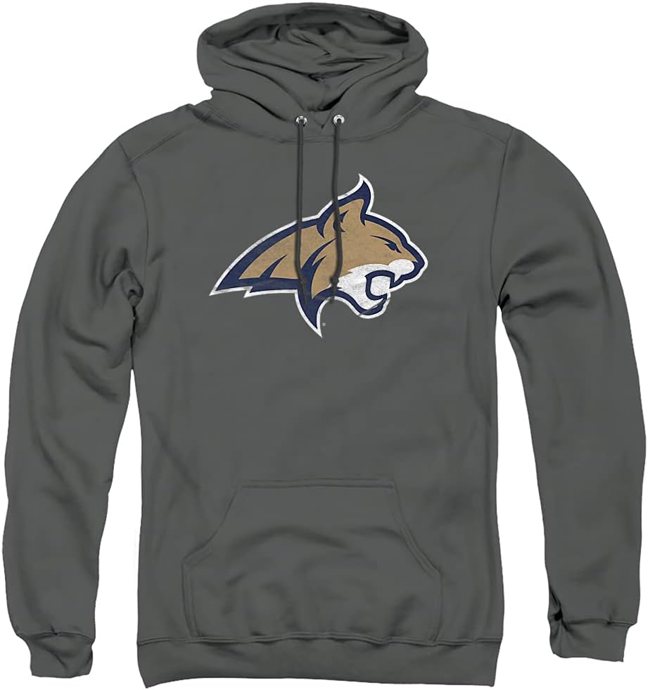 Official Collegiate Distressed Primary Logo Adult Hoodie Collection