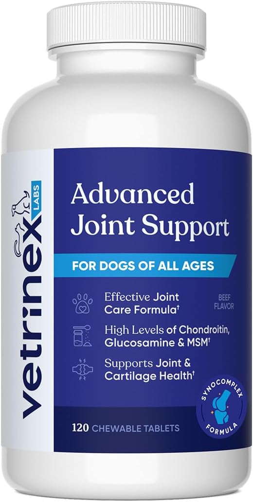 Joint Support Supplement for Large Dogs - Chewable Tablets