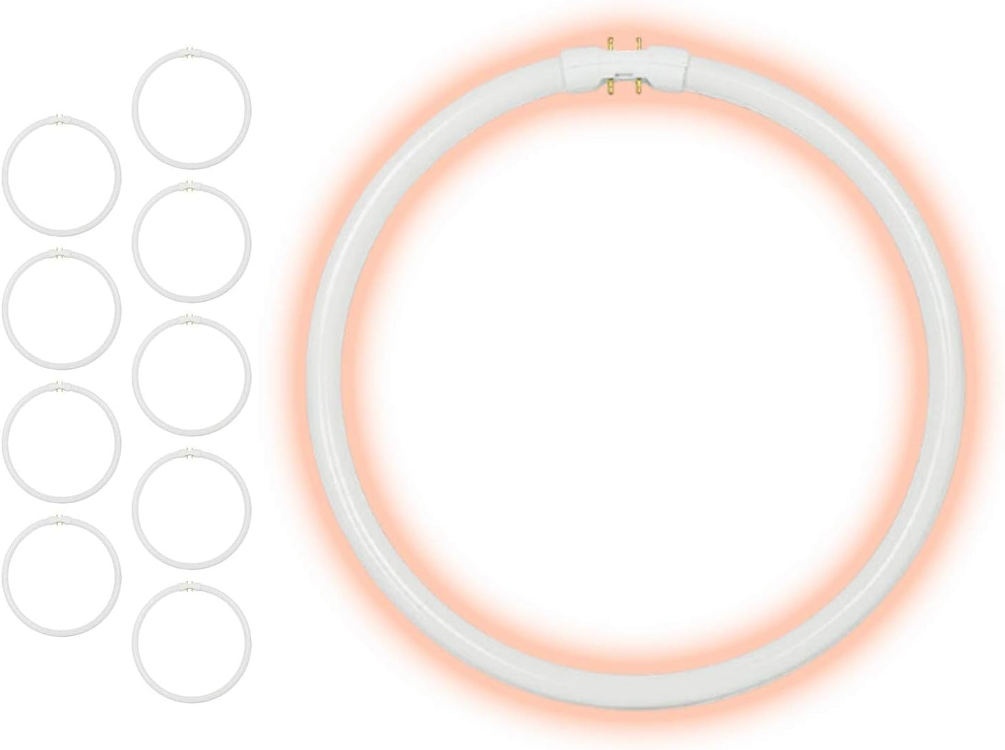 40-Watt 12 Inch T5 Fluorescent Circline Light Bulb - High Output