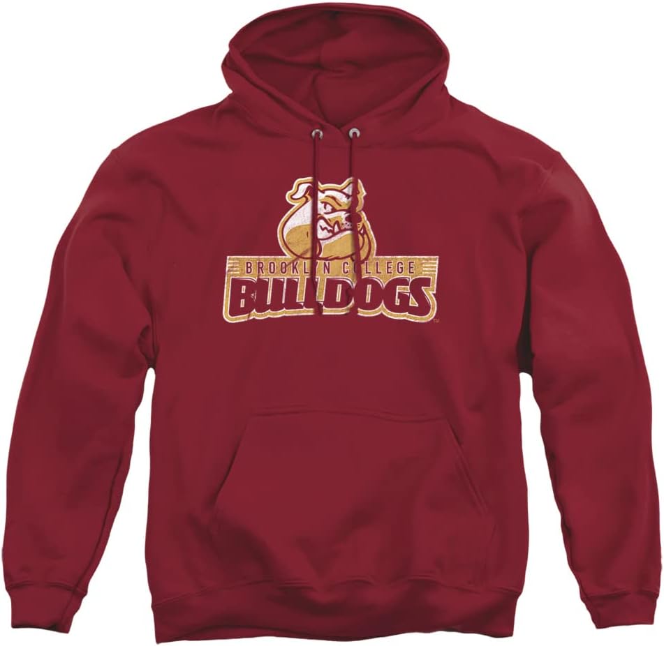 LOGOVISION Collegiate Distressed Primary Logo Hoodie for Adults