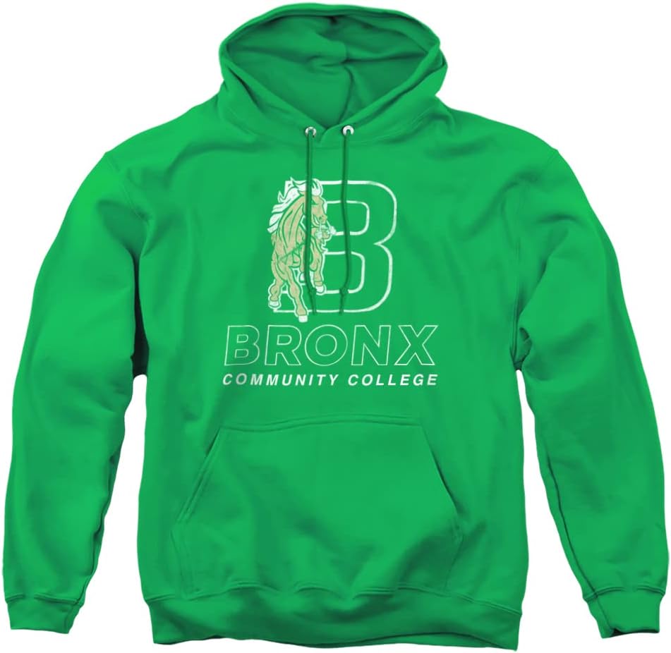 Official Collegiate Distressed Logo Adult Pullover Hoodie