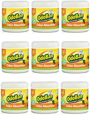 OdoBan Solid Odor Absorber Eliminator for Home and Small Spaces