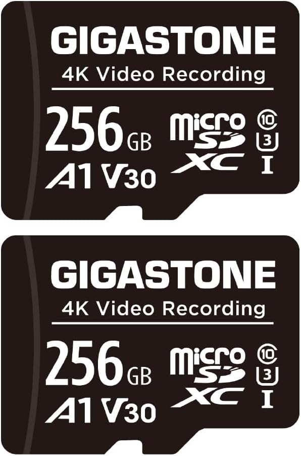 GIGASTONE 256GB Micro SD Card A1 V30 for Action Cameras