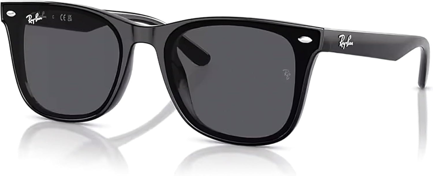 Ray-Ban RB4420 Square Sunglasses with Accessory Eyewear Kit