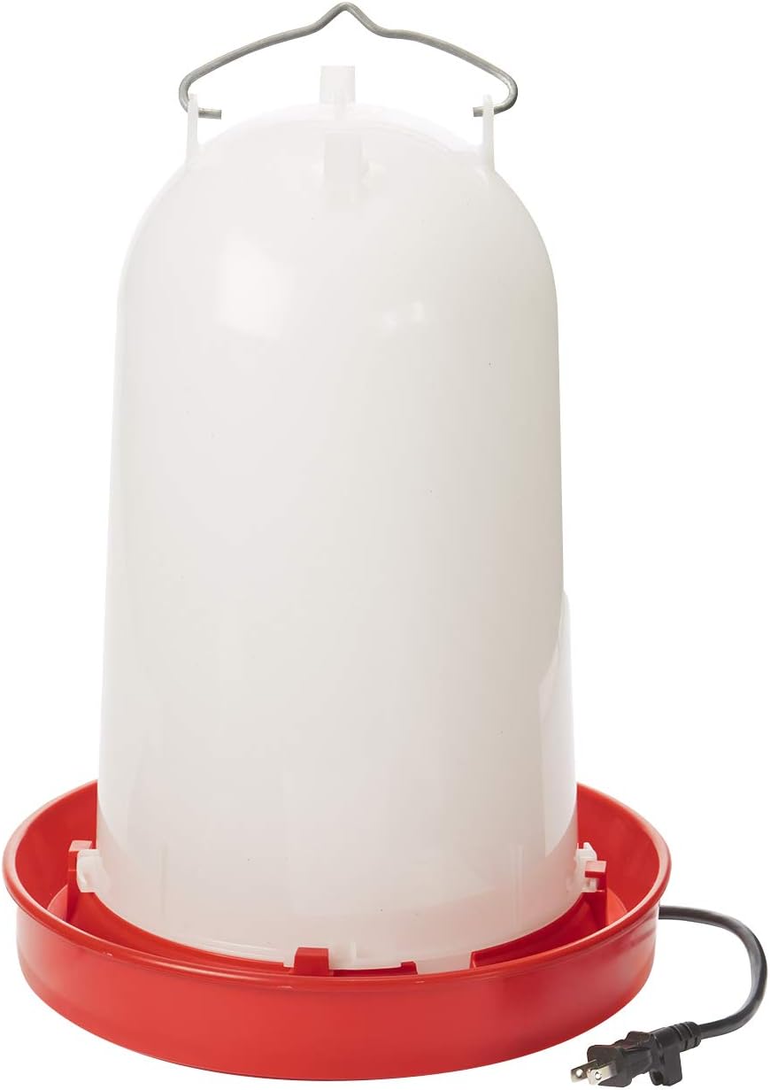 API Heated 3 Gal Chicken Waterer | Overheating Protection
