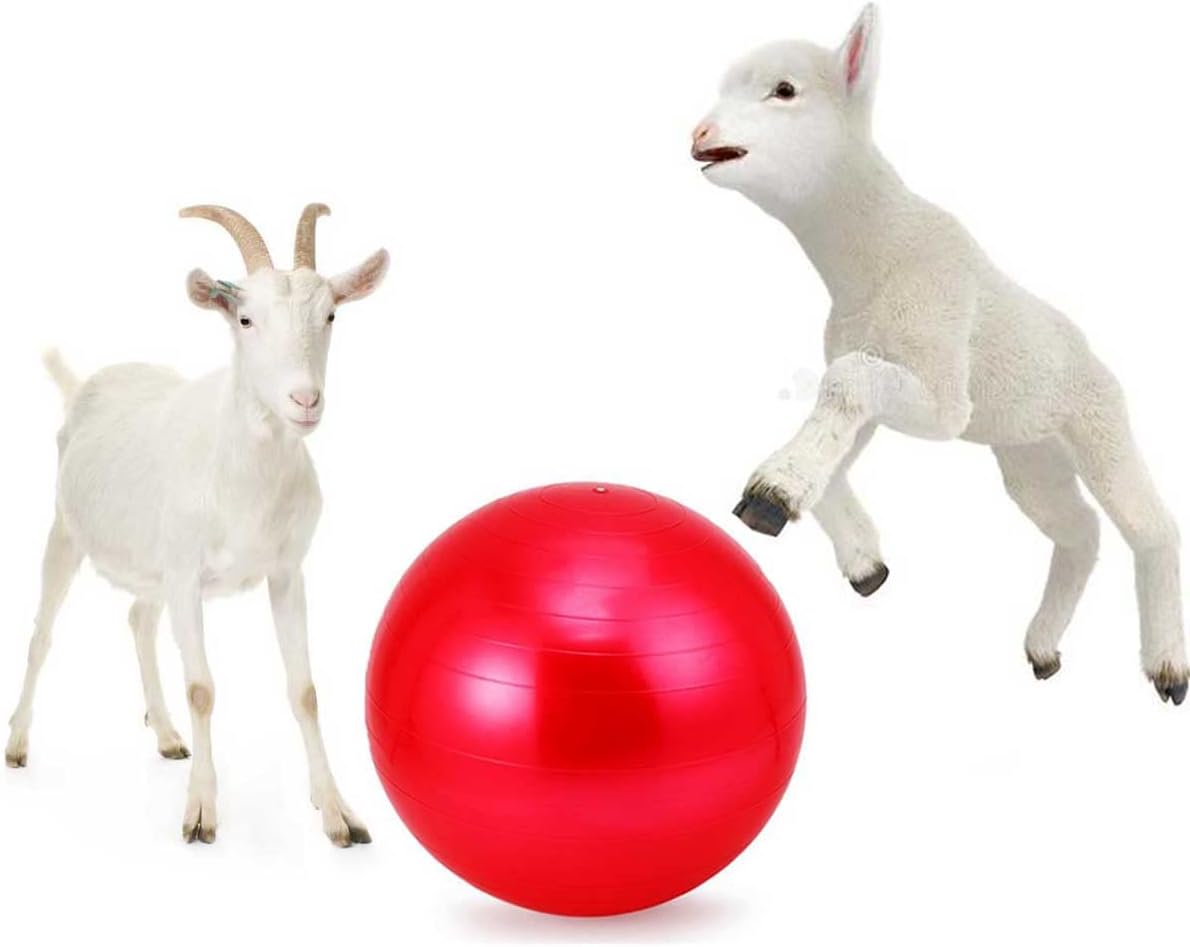 Goat Yoga Ball Toy - Fun Fitness for Goats!