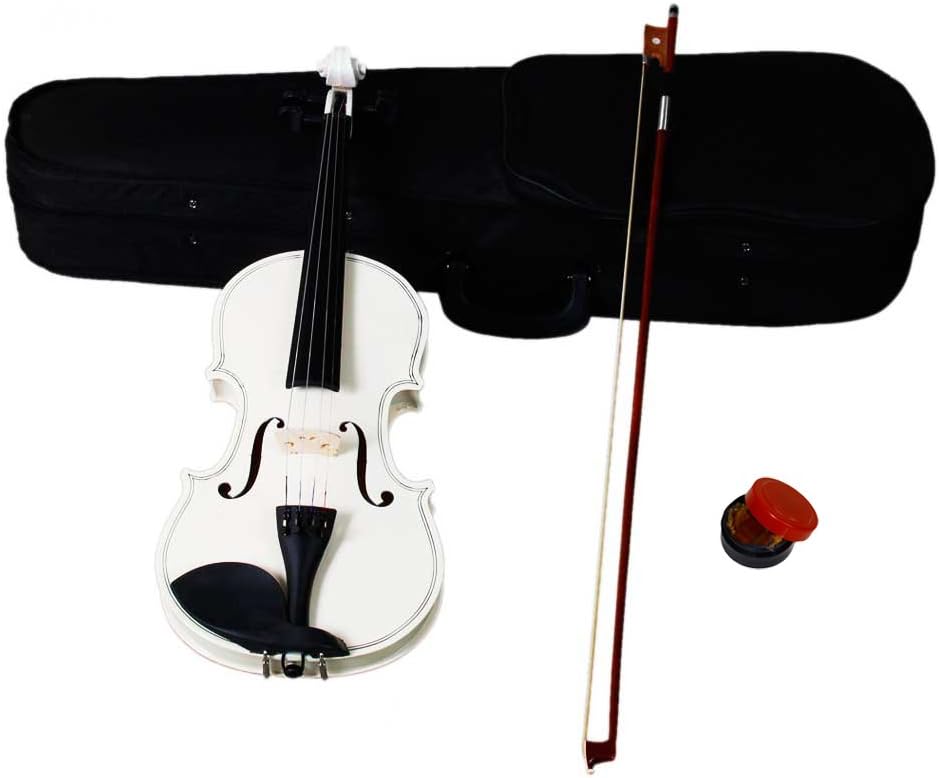 4/4 Acoustic Violin Starter Kit with Case and Bow for Beginners