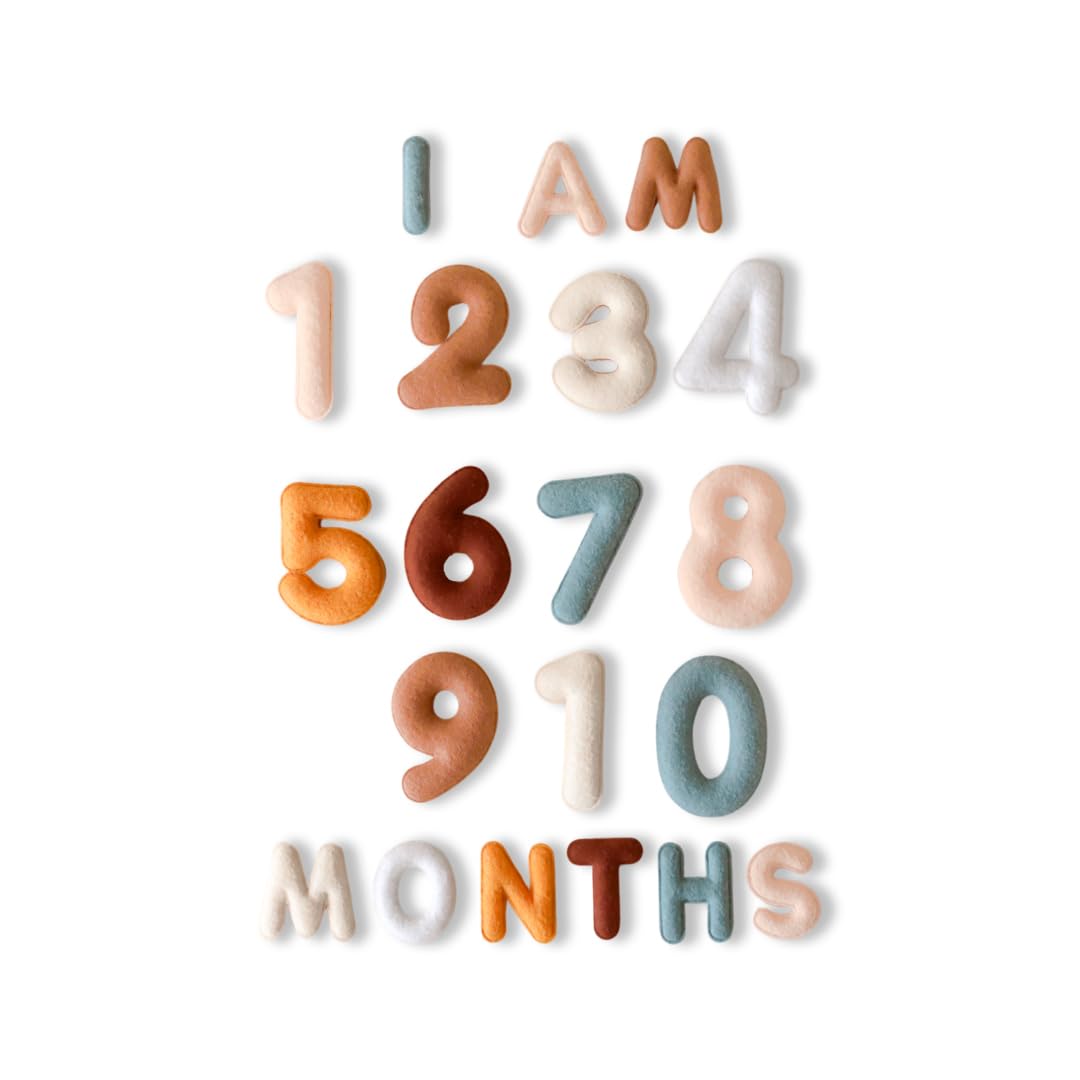 Felt Baby Monthly Milestone Numbers for Newborn Photography