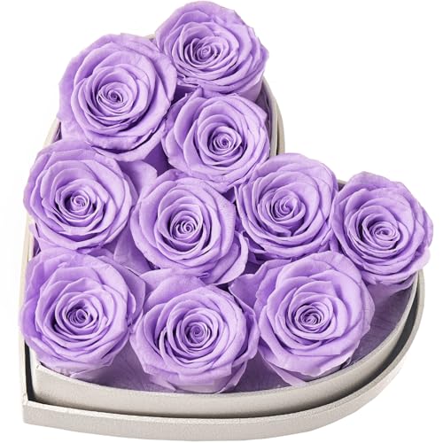 Beaulasting Roses Forever Flowers in Heart Shape Box Gift