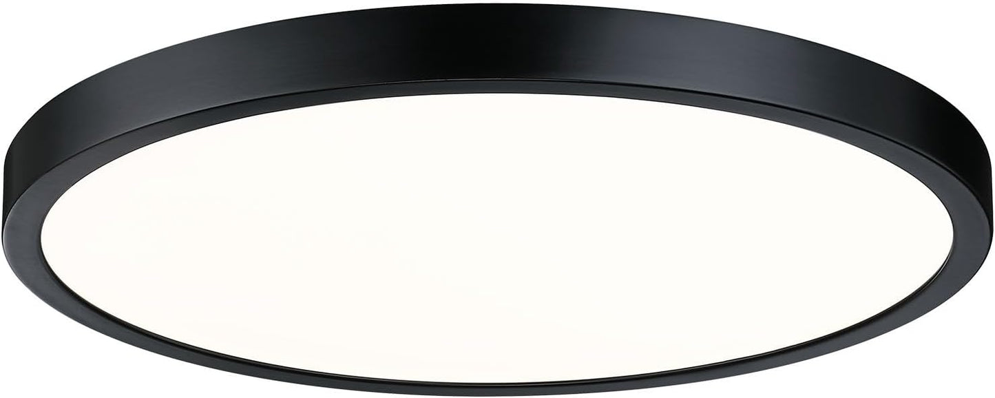 Flush Mount Ceiling Light Fixture for Modern Spaces and Style