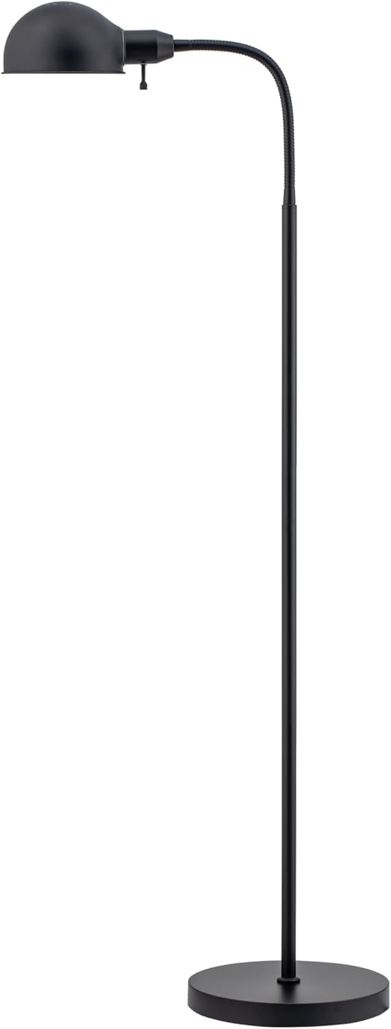 O'Bright Nova Adjustable Floor Lamp with Flexible Gooseneck