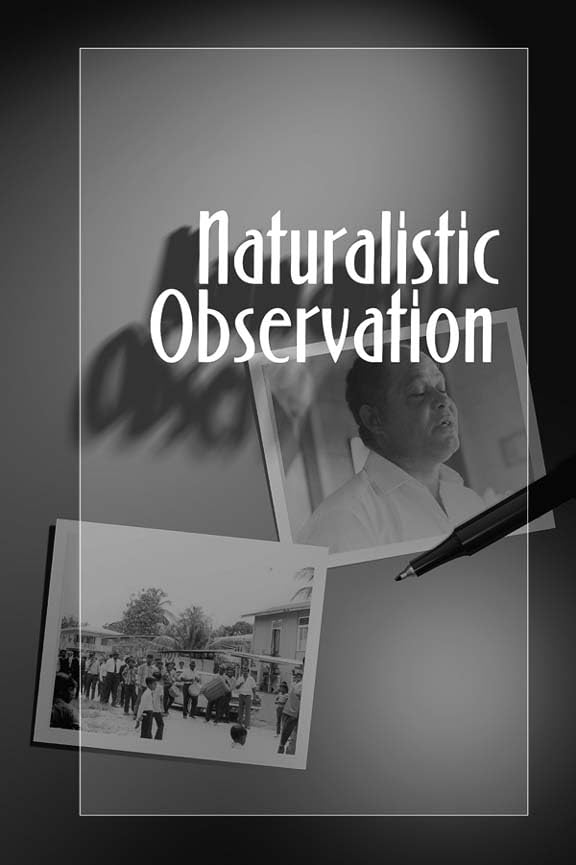 Naturalistic Observation Guide for Qualitative Research Insights