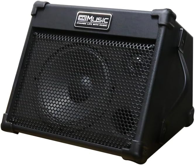 Coolmusic 40W Portable Acoustic Guitar Amplifier with Bluetooth