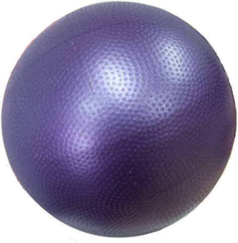 Pliable Inner Thigh Exerciser | Workoutz 9 Mini Yoga Ball