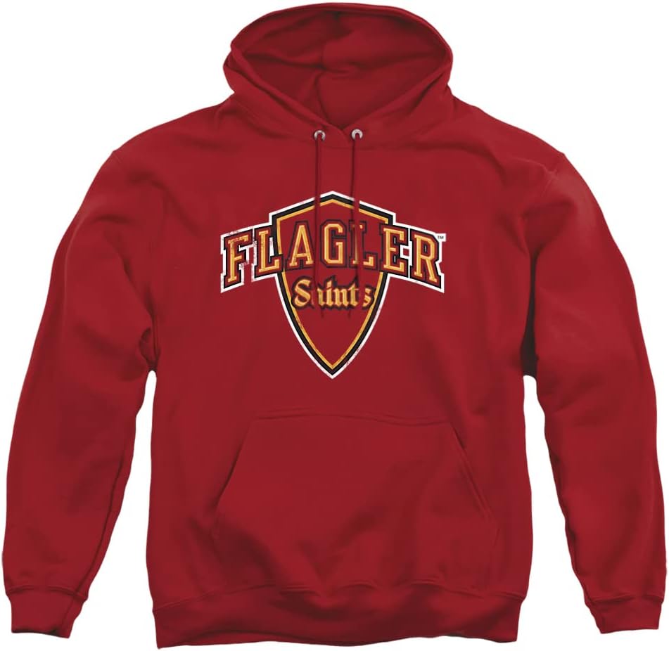 Official Collegiate Distressed Primary Logo Hoodie Collection