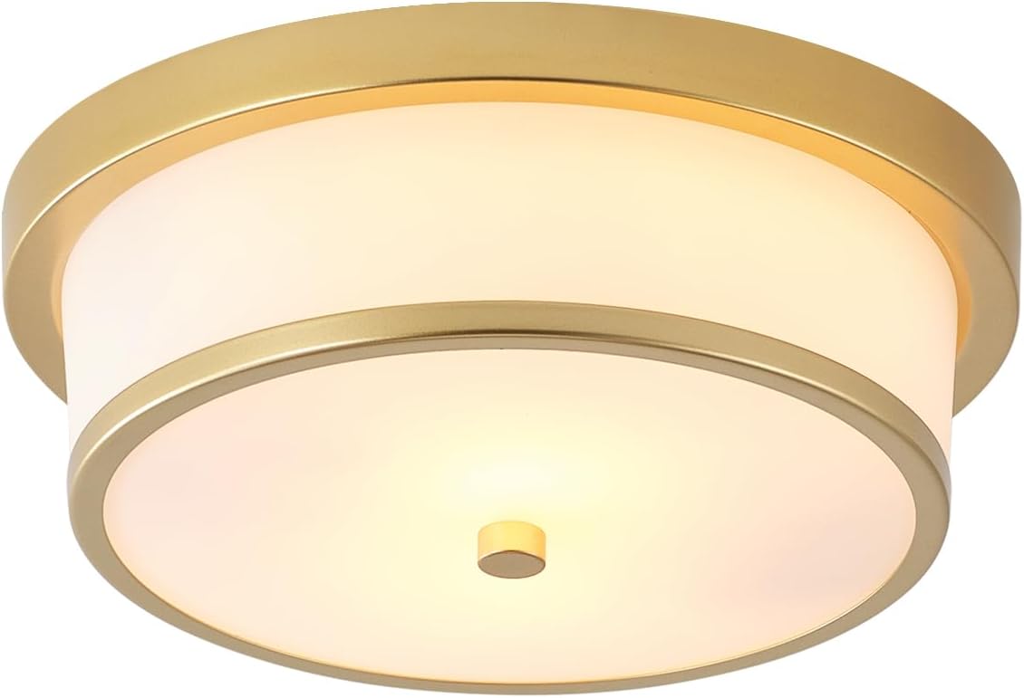 12 inch Flush Mount Ceiling Light for Modern Home Decor
