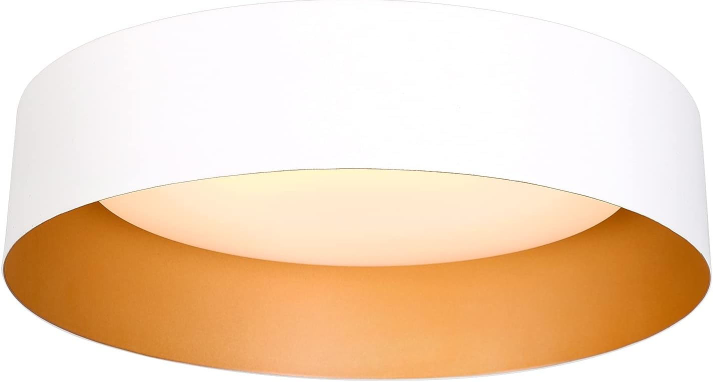 Bargeni LED Ceiling Light Fixture for Modern Home Spaces